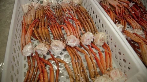 Preparing the legs of crabs for distribution Stock-Footage 90716114