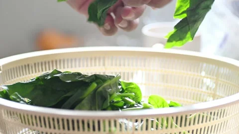 Preparing malabar spinach alubati vegetable Stock Footage 282504014