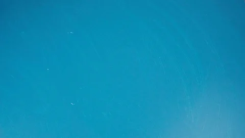 Preparing meat for dinner. Ingredients; raw meat, tomatoes, green peppers,onions Stock Footage 110865463