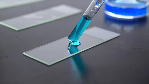 Preparing a microscope slide Stock Footage 84997831