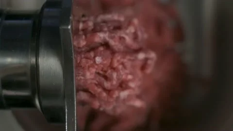 Preparing minced meat Stock Footage 170832460