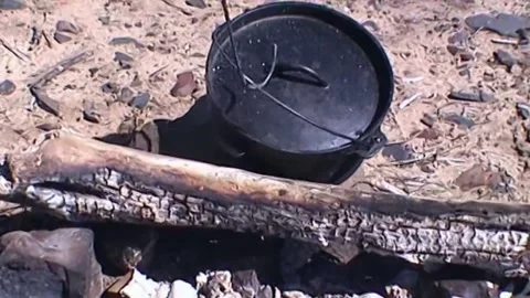 Preparing Mud Crab Stock Footage 246231728