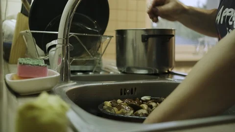 Preparing mushrooms Stock Footage 117263376