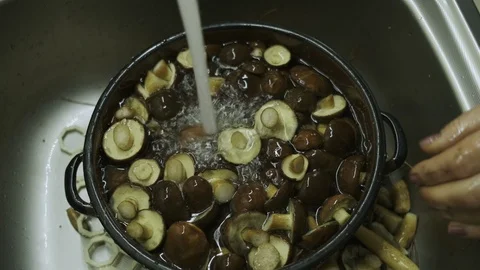 Preparing mushrooms Stock Footage 117264168