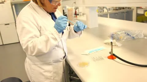 Preparing a Petri dish Stock-Footage 8978477