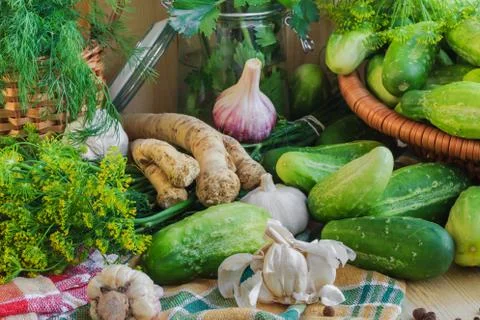 Preparing pickling cucumbers various components Stock Photos