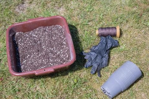Preparing pots for seedlings,filling with nutrient soil, seasonal gardening Stock Photos