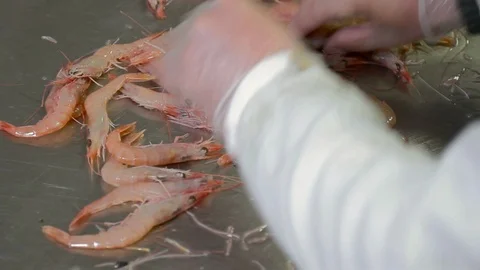 Preparing prawns for cooking Stock-Footage 90692186