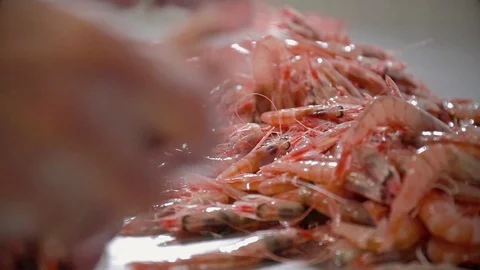 Preparing prawns for cooking Stock-Footage 90708275