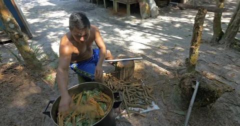 Preparing the psychedelic tea Ayahuasca at a retreat in Peru, 4k Video stock 121660230