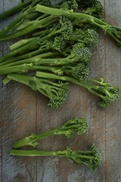 Preparing raw broccoli Stock Photos