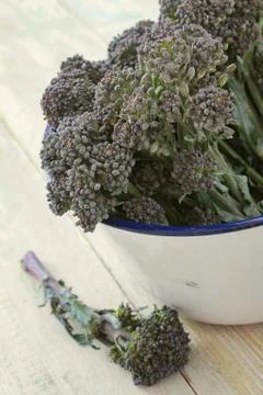 Preparing raw broccoli Stock Photos