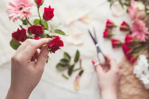 Preparing red roses Stock Photos
