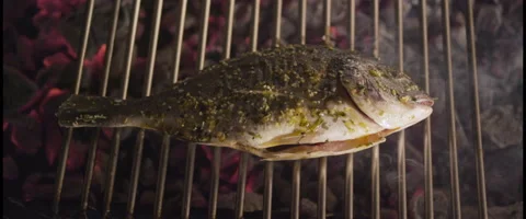 Preparing Redfin slow motion Stock Footage 56605770