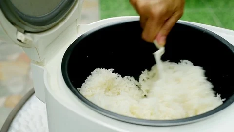 Preparing rice cooked in electric rice cooker Stock Footage 81885090