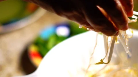 Preparing Rice Noodle Spring Rolls in Slow Motion Closeup Stock Footage 125339294