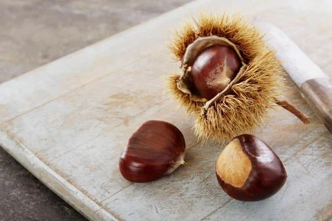 Preparing ripe chestnuts Stock Photos