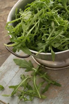 Preparing rocket salas leaves Stock Photos