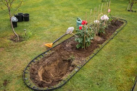 Preparing a rose bed in spring Stock Photos