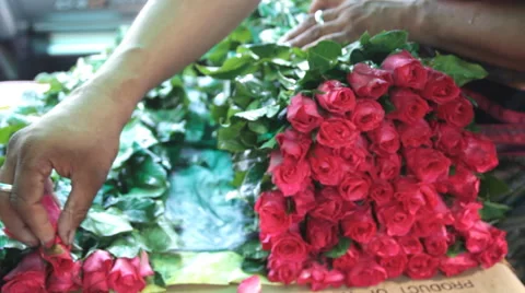 Preparing roses for sales Video stock 60699117