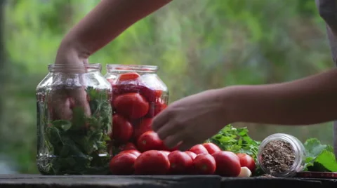Preparing for the salted tomatoes. Composition of tomatoes. Stock Footage 67009281