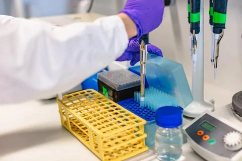 Preparing sample box with test tubes by scientist Stock Photos