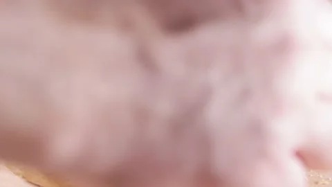 Preparing sandwich on breakfast table full of vegtables.  Stock Footage 154458666