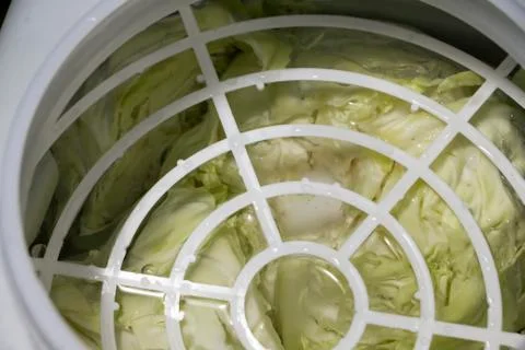 Preparing sauerkraut Stock Photos