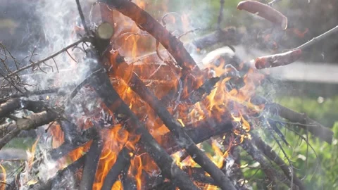 Preparing sausages on a fire. Camping in the wild. Stock Footage 144357315