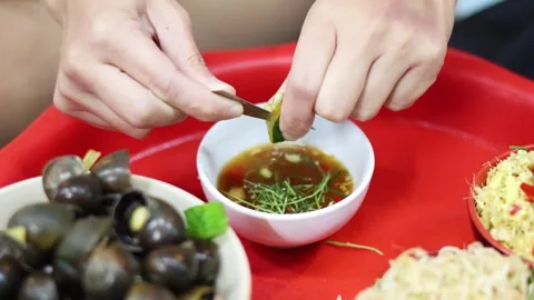 Preparing a Savory Asian Dish 库存影片 284499333
