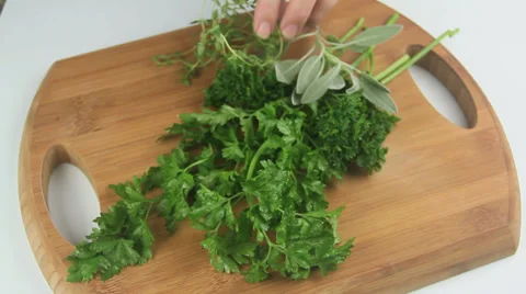 Preparing Selection Of Fresh Herbs Stock Footage 36260886