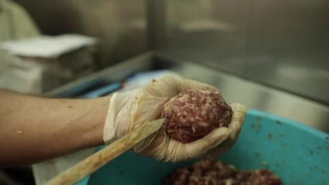 Preparing Sheikh - Sheekh Kebab Stock Footage 252203599