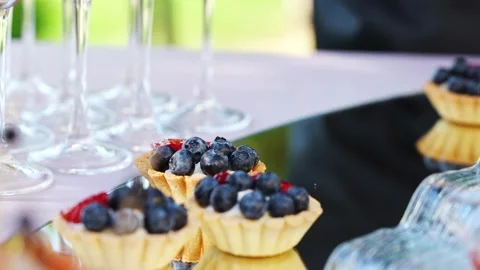 Preparing small fruit tarts for a summer gathering Stock Footage 336256437