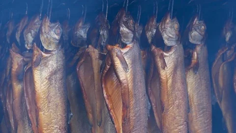Preparing smoked fish. Dish from rainbow trout Stock Footage 74677241