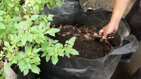 Preparing Soil Stock Footage 332571526