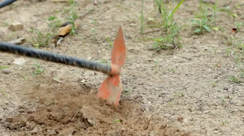 Preparing the soil for planting Video stock 40771873