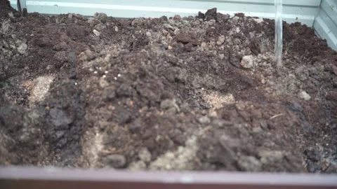 Preparing the soil for planting plants 스톡 동영상 311773492