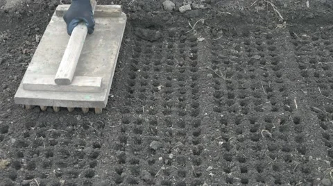 Preparing the soil for planting seeds. Using marker tool for making cell holes. Stock Footage 64944157