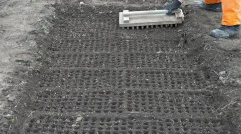 Preparing the soil for planting seeds. Using marker tool for making cell holes. Stock Footage 64949198