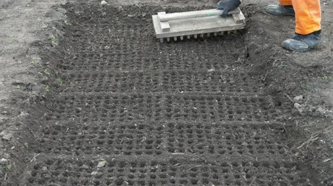 Preparing the soil for planting seeds. Using marker tool for making cell holes. Stock Footage 64956126