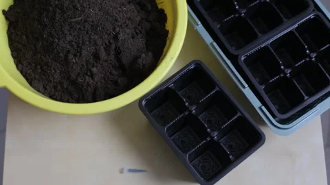 Preparing the soil for seedlings. The owner pours the soil and fertilizer into Video stock 266898870