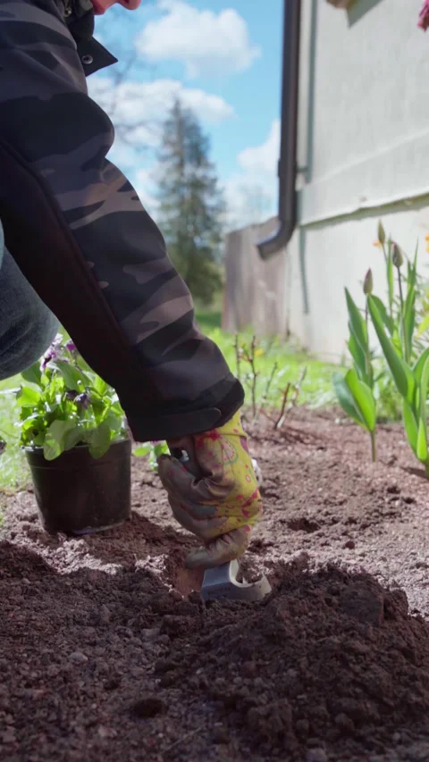 Preparing Soil With Tools To Nurture Spring Flowering Plants Stock Footage 326033083