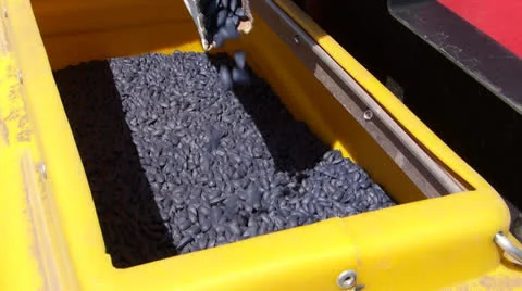 Preparing for sowing, pouring seeds Video stock 22765102