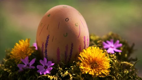 Preparing for the spring holiday handmade Easter egg Video stock 146993869