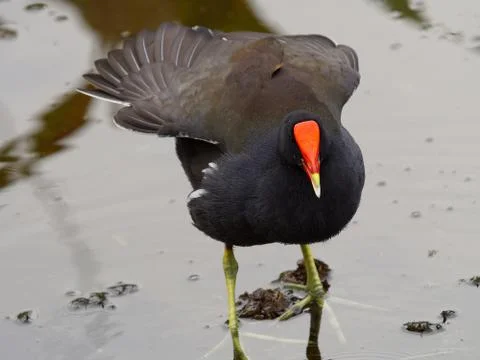 Preparing For Takeoff Foto stock