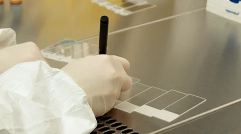 Preparing test plates in the laboratory Vidéo 37344461