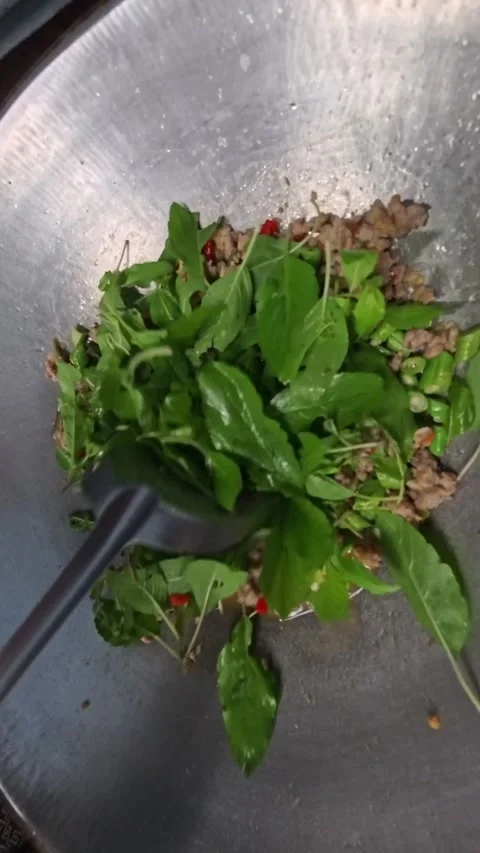 Preparing Thai food, stir-fried basil in a pan Stock Footage 318049230