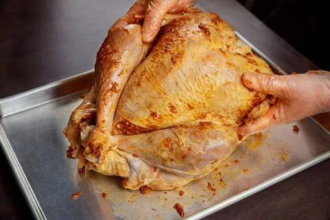 Preparing the thanksgiving turkey on baking sheet. Stock Photos