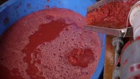 Preparing Tomato juice Sauce - profile view - slow motion Stock Footage 78182806