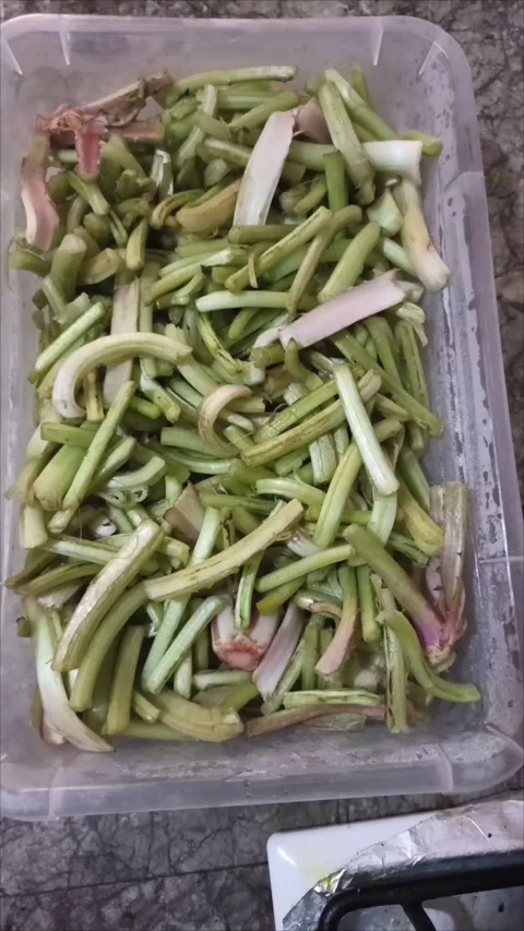 Preparing Traditional Rabbit Stew with Fresh Cut Cardoons - Moroccan Cuisine Stock-Footage 333682491